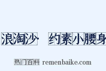 浪淘沙·约素小腰身是什么意思的图片